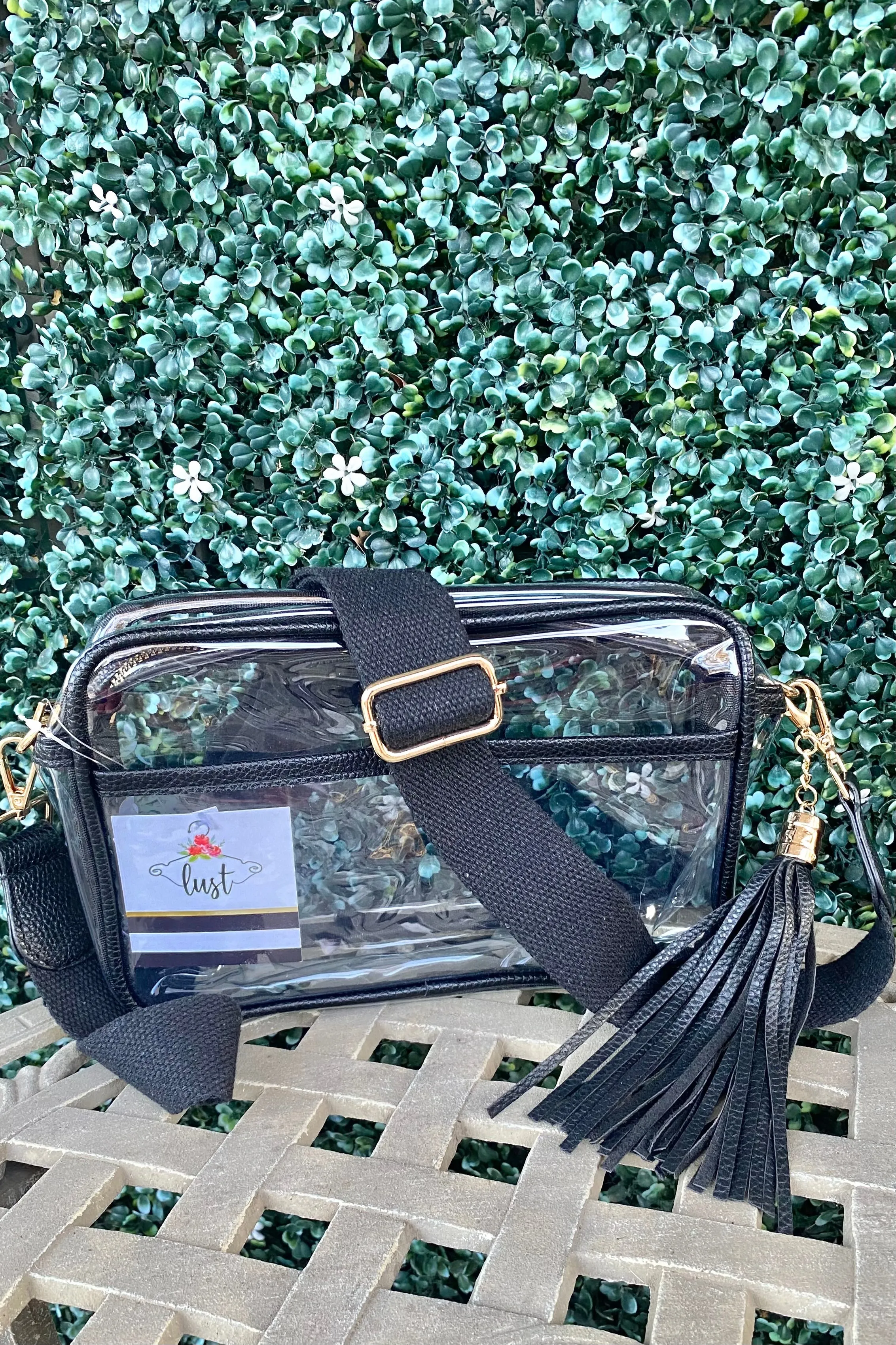 Clear Bag Crossbody Purse