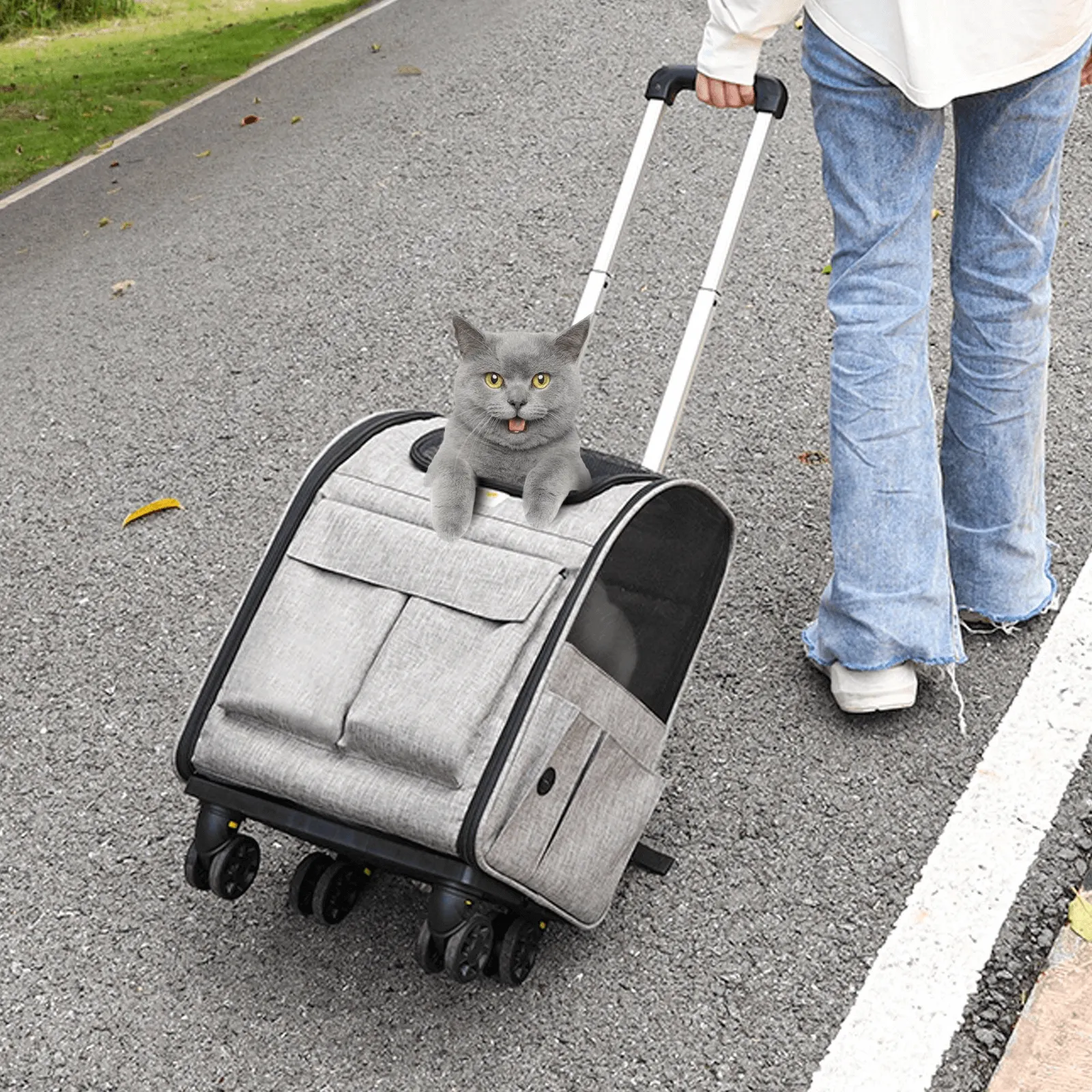 Pet Carrier with Wheels, Rolling Pet Carrier with Telescopic Handle