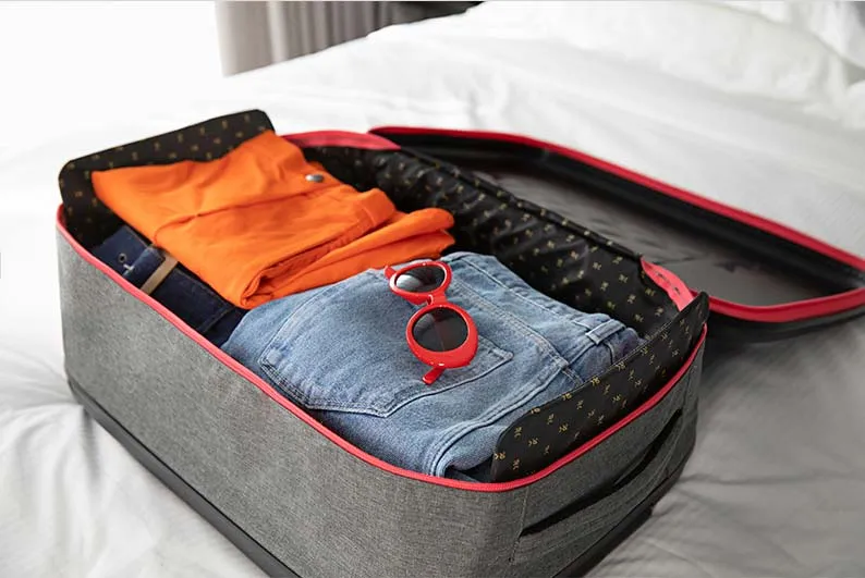 Rollink Flex 20" Foldable Wheeled Carry-On