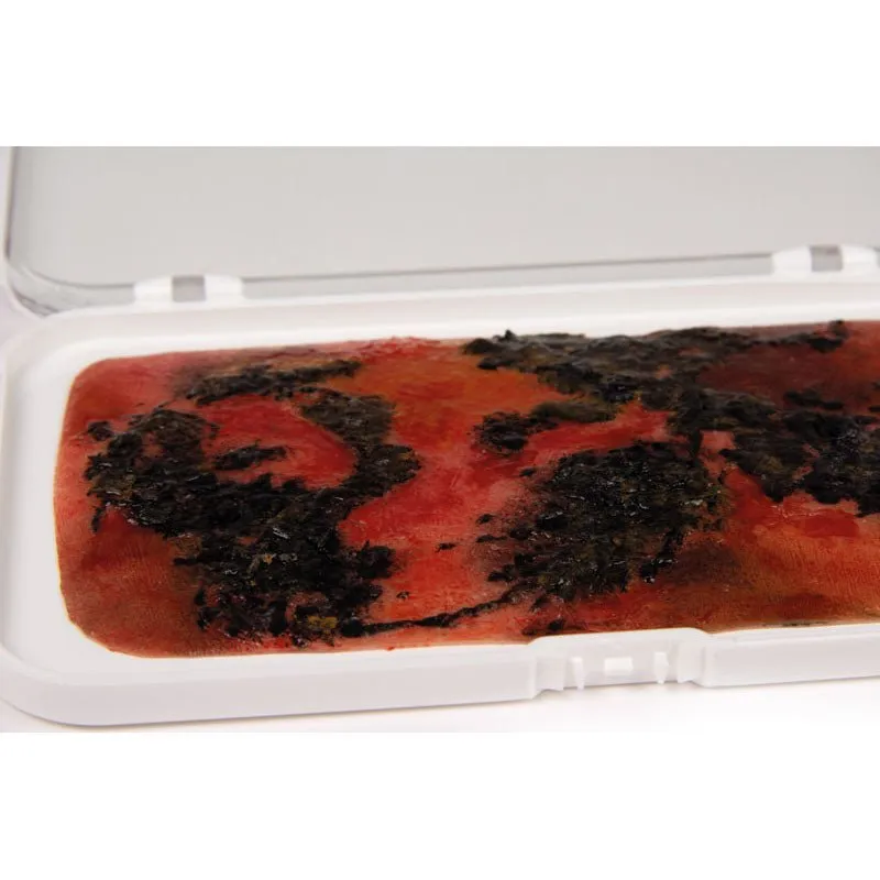 Wound Moulage 3rd Degree Burn Kit
