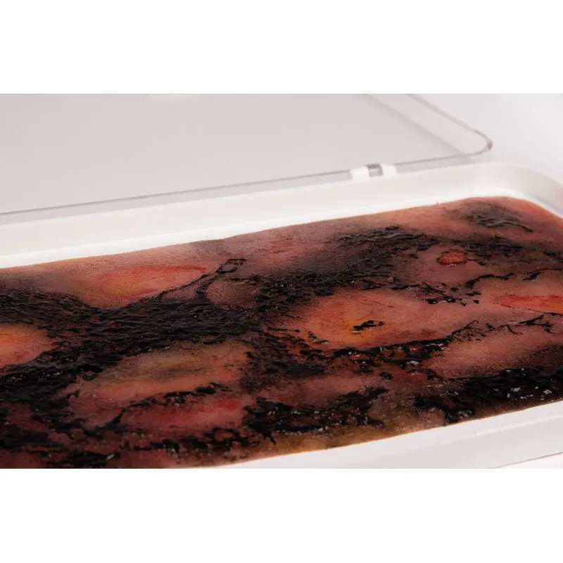 Wound Moulage 3rd Degree Burn Kit